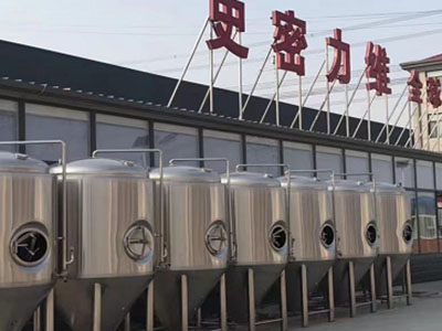 鹰潭精酿啤酒设备厂—市场规模与跨界新需求